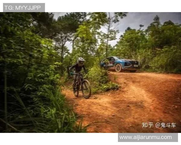 北京极限运动队灵活性对比分析及其对运动表现的影响探讨