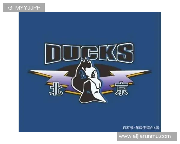 北京街舞队现状深度解析与未来发展趋势探讨